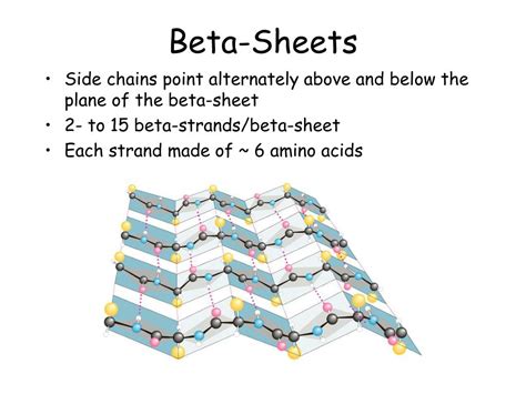 Can beta.